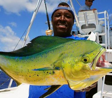 Your Bahamas: Fishing
