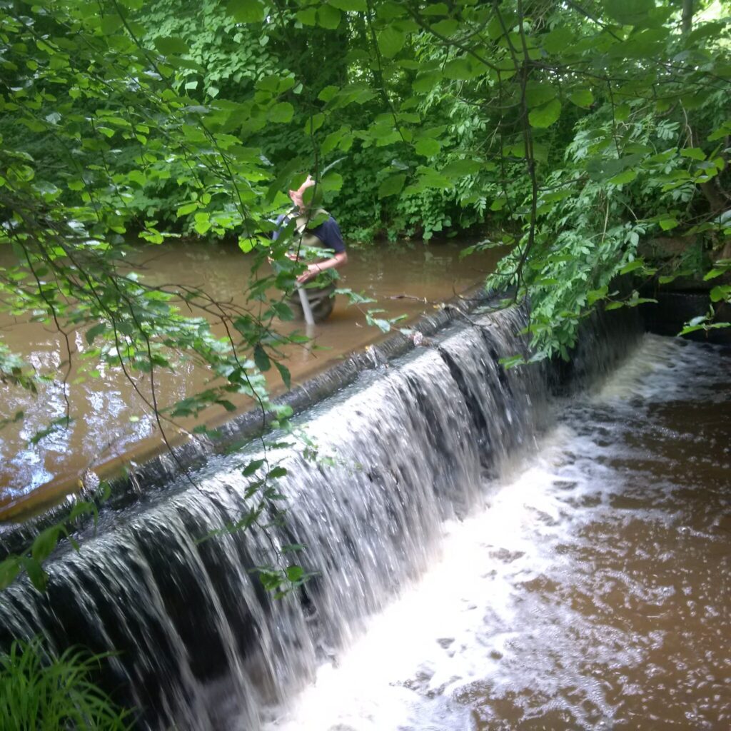 Salmon and Sea Trout Able To Access More Water In Northumberland Fish