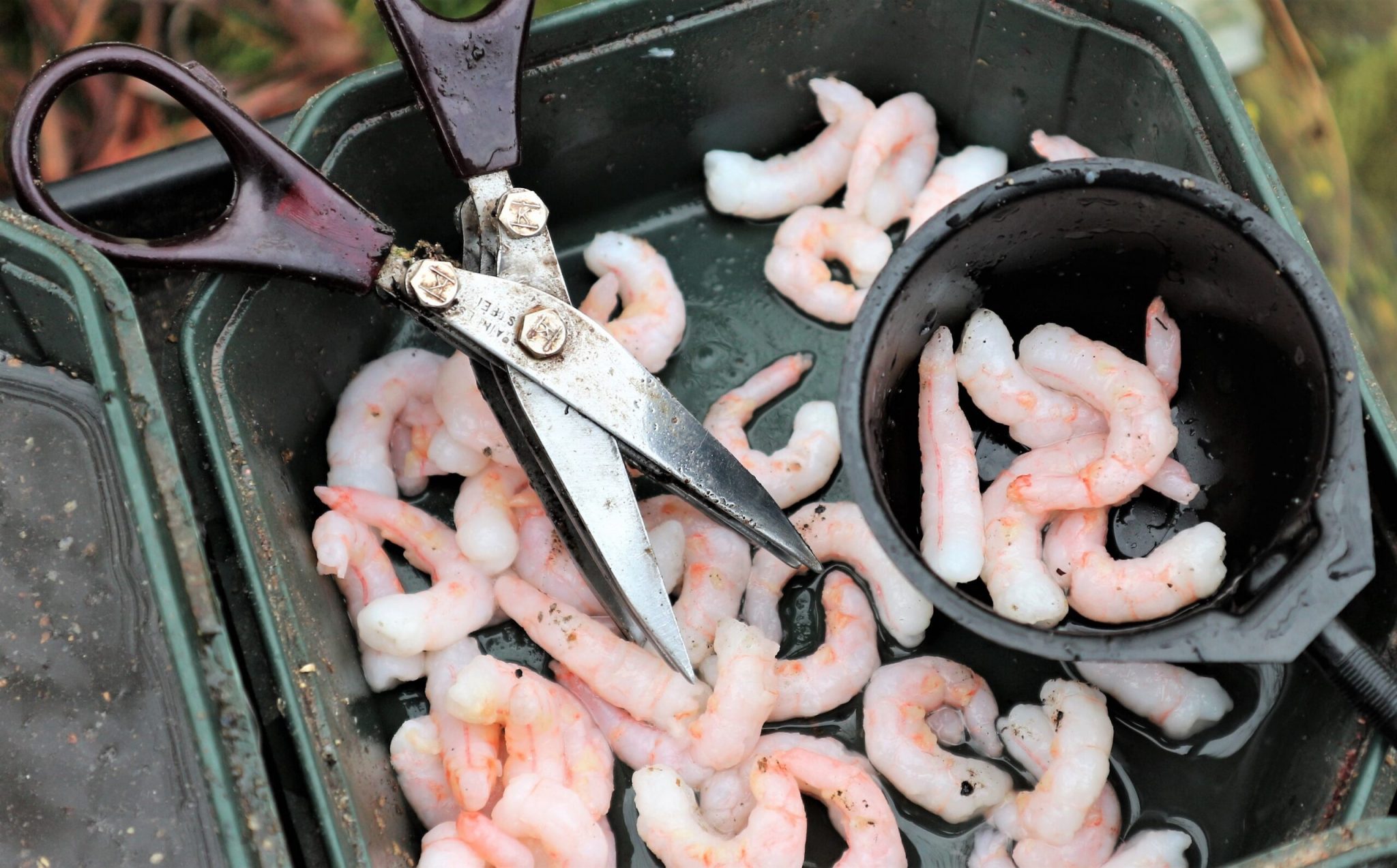 BAG`EM Flavoured Dye Coarse Match Fishing for Groundbait Pellets Meat  Maggots