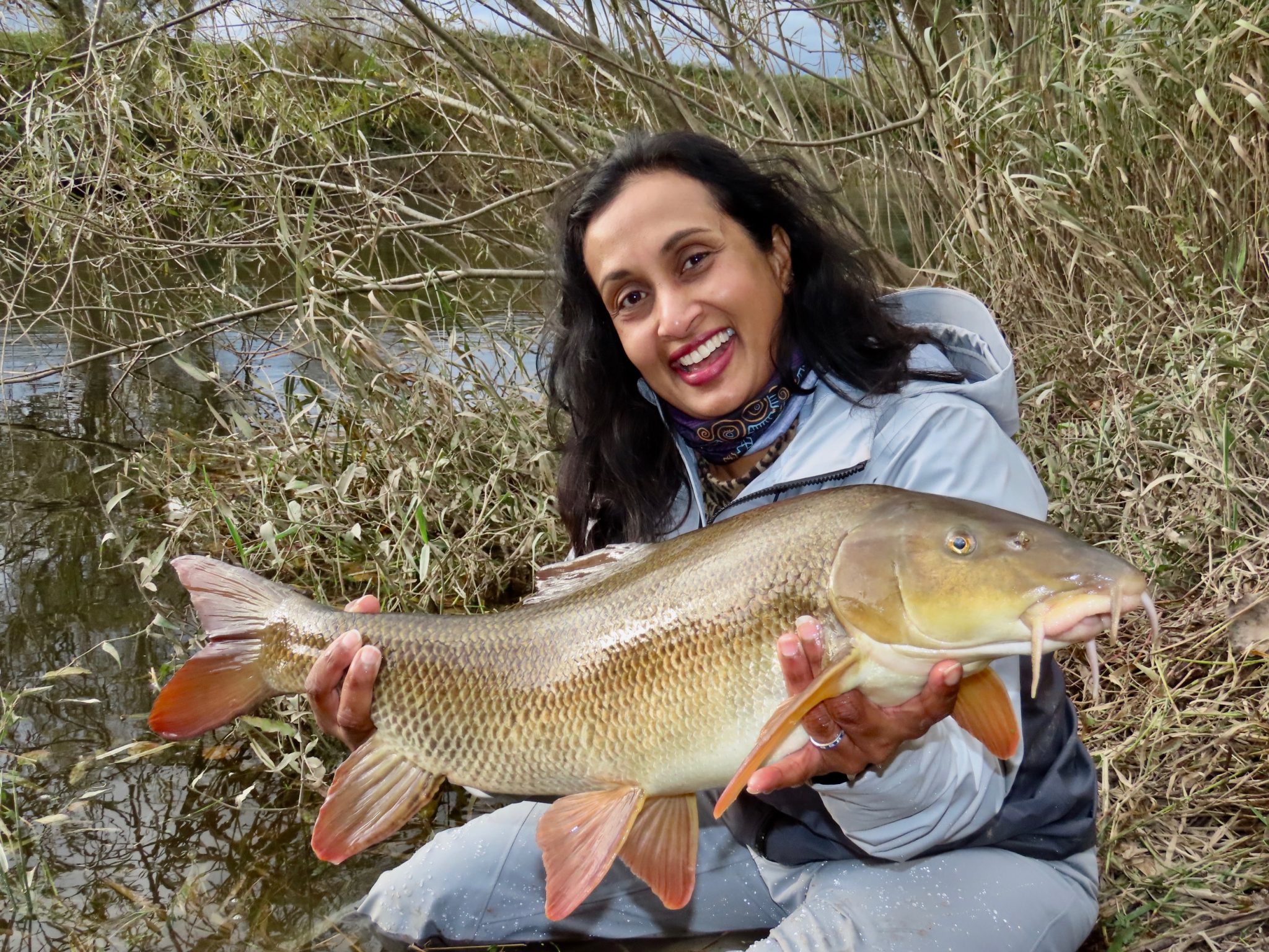 Passion for Barbel In Wild Waters - Fish & Fly